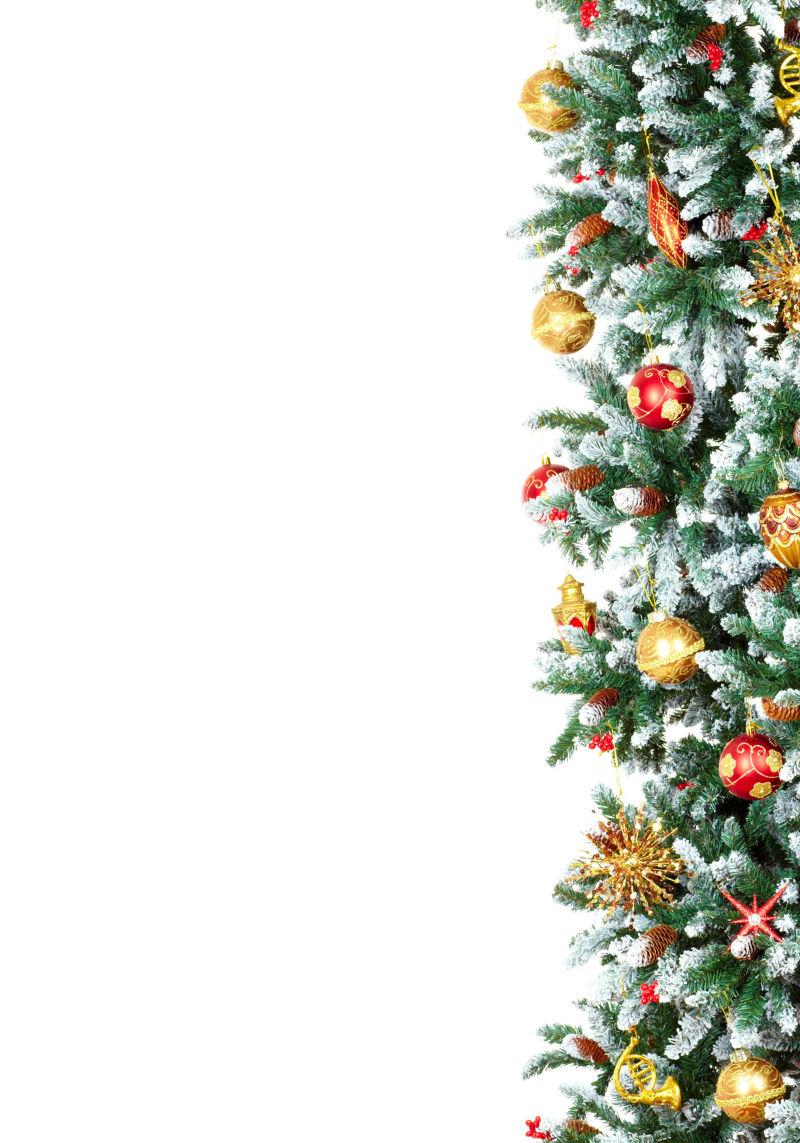 白色背景上的圣诞树边框装饰