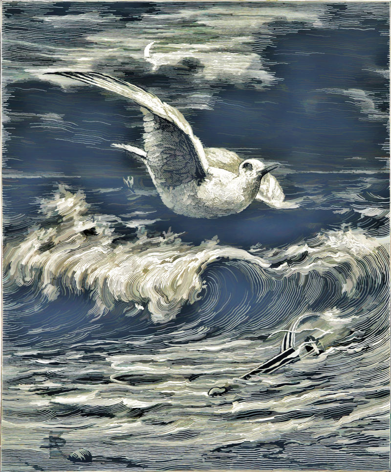 手绘艺术油画海面上飞过的小鸟