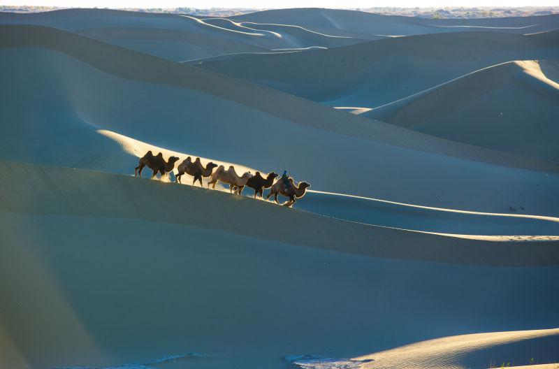 沙丘中行走的驼商队