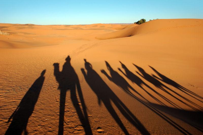 沙漠上的骆驼商队的影子