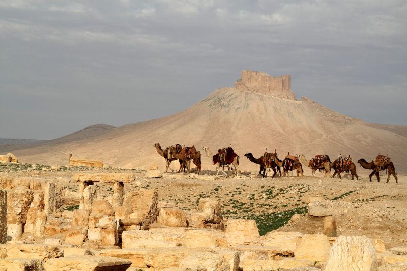 废墟上的骆驼商队