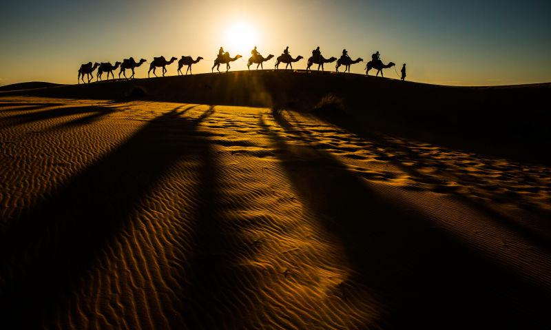 日落十分沙漠上的骆驼商队