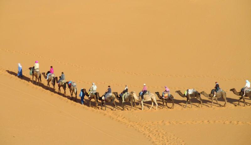 沙漠中的骆驼商队