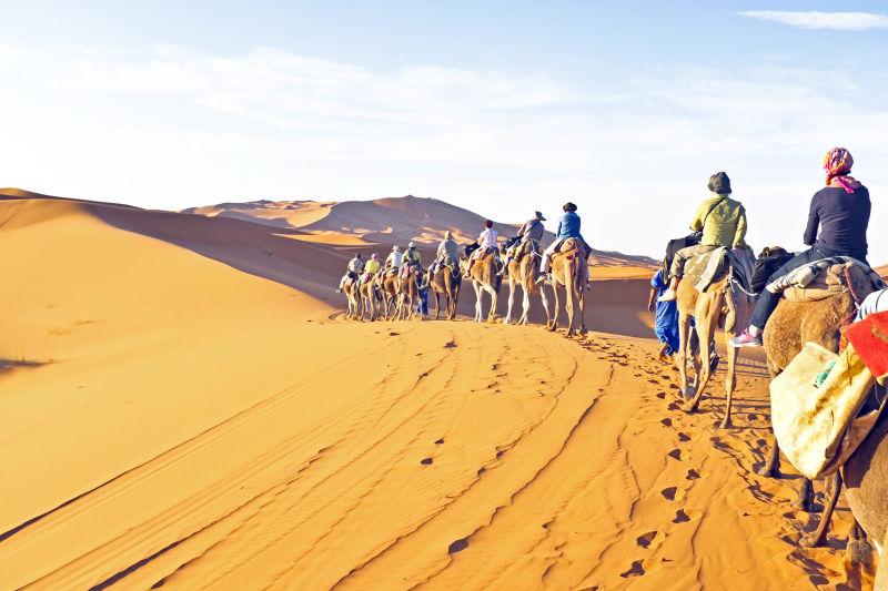 穿过沙丘的骆驼商队