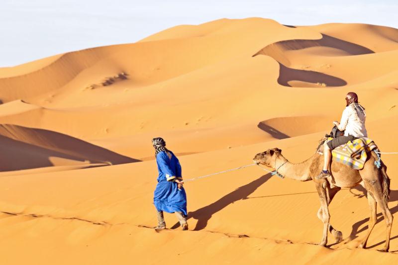 穿过沙丘艰难行走的骆驼商队