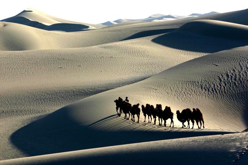 沙漠上的骆驼商队