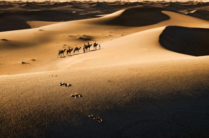 黄昏下沙漠上的骆驼商队