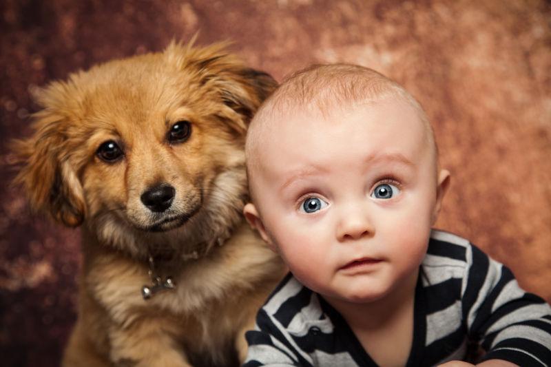 一只小狗和一个小孩