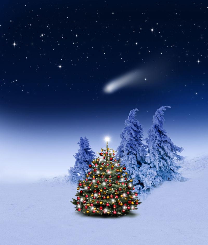 冬季星空下的圣诞树