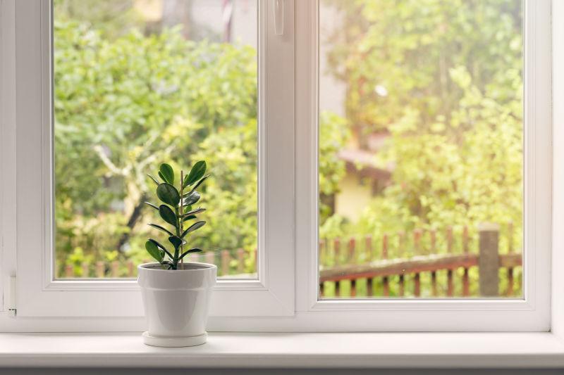 窗台上的植物盆栽