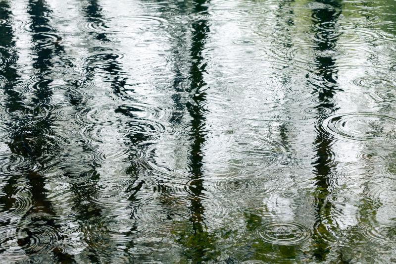 雨后地面水坑倒影着绿色的树木