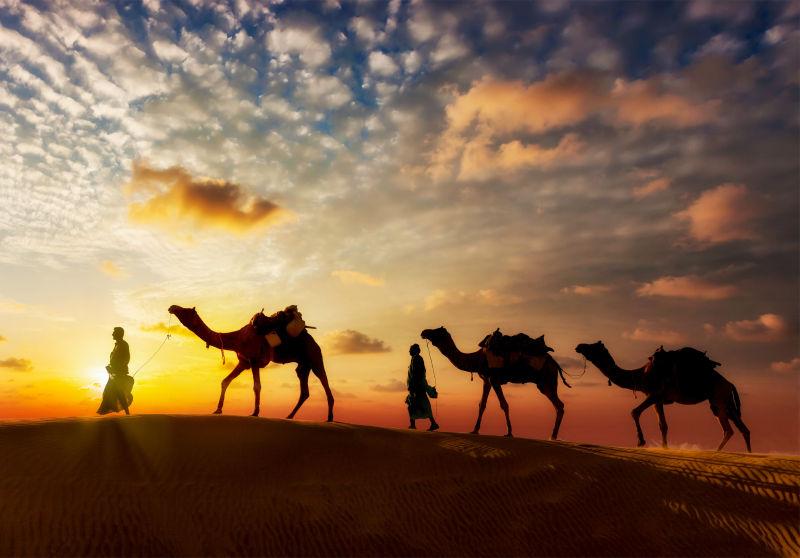 沙漠中人牵着骆驼行走