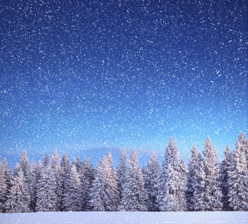夜空下飘着雪花的美丽森林