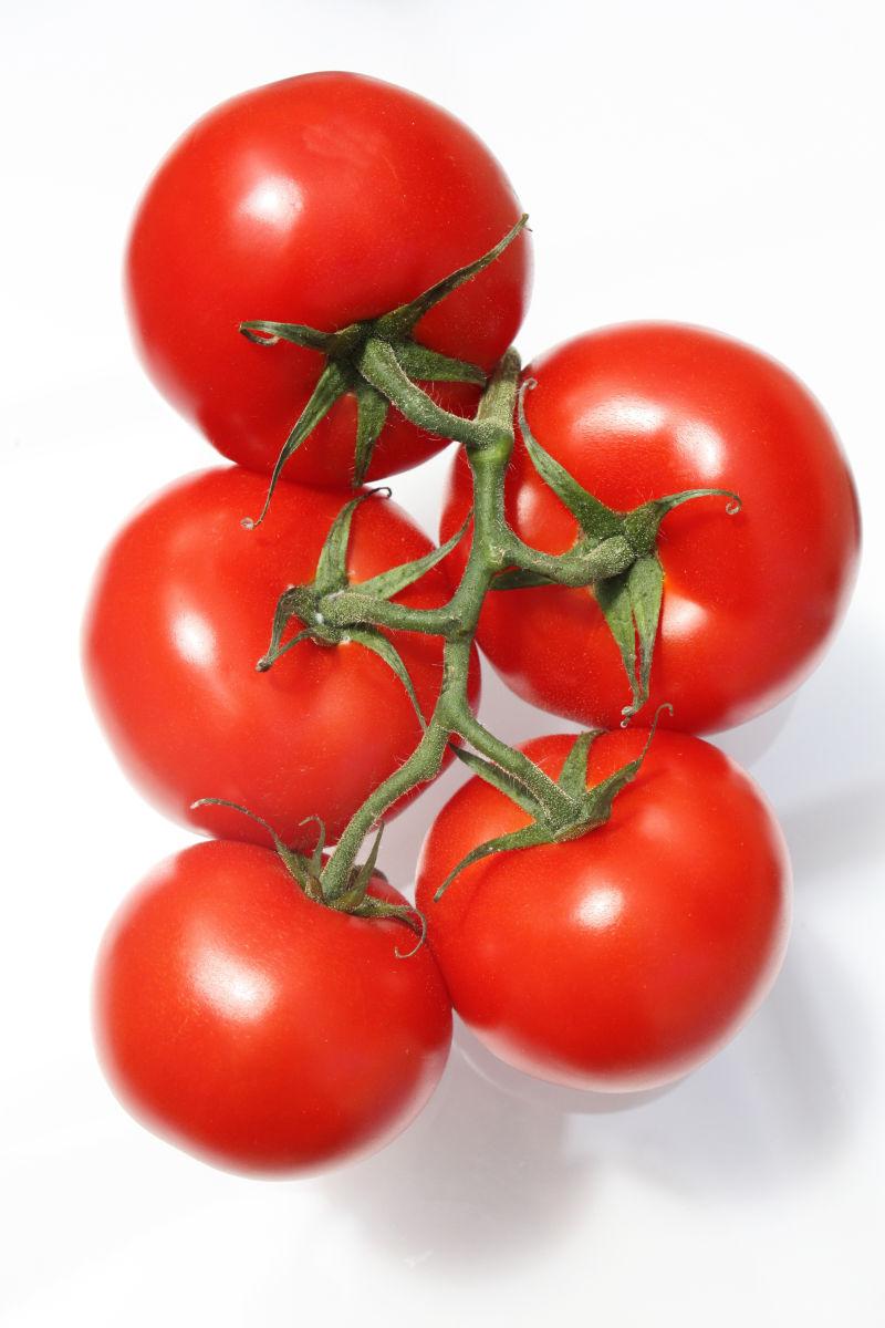 白色背景下带着藤蔓的小番茄