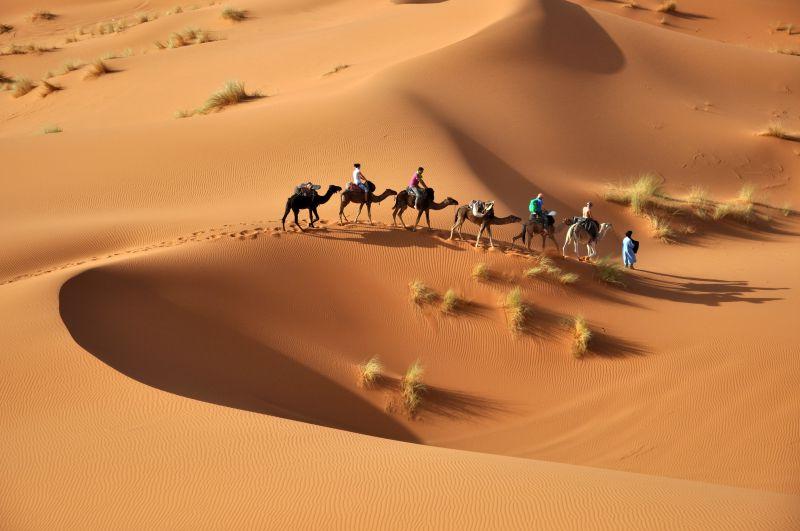 撒哈拉大沙漠中的驼队