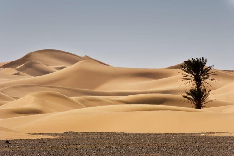 摩洛哥沙漠的沙丘