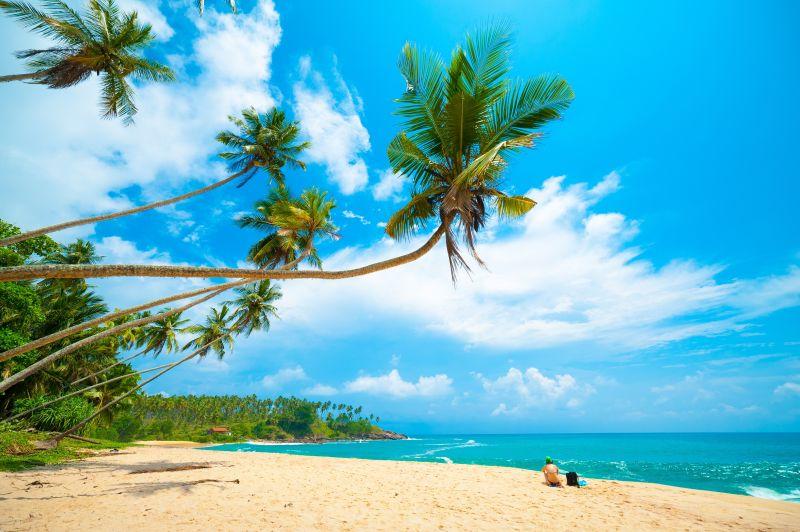 热带海滩上的棕榈树与坐在沙滩上的年轻女子