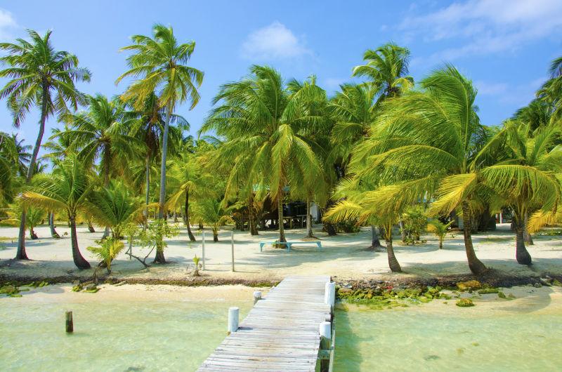 美丽的夏季度假海滩风景