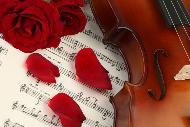 红色的玫瑰花和小提琴在乐谱上的特写