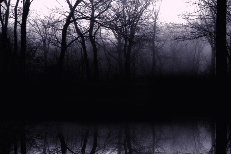 黑暗中的森林背景