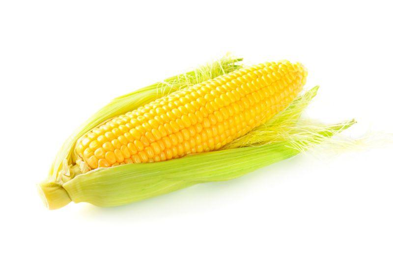 白色背景中的剥皮的玉米