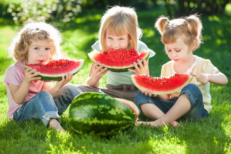 孩子们在草地上吃西瓜