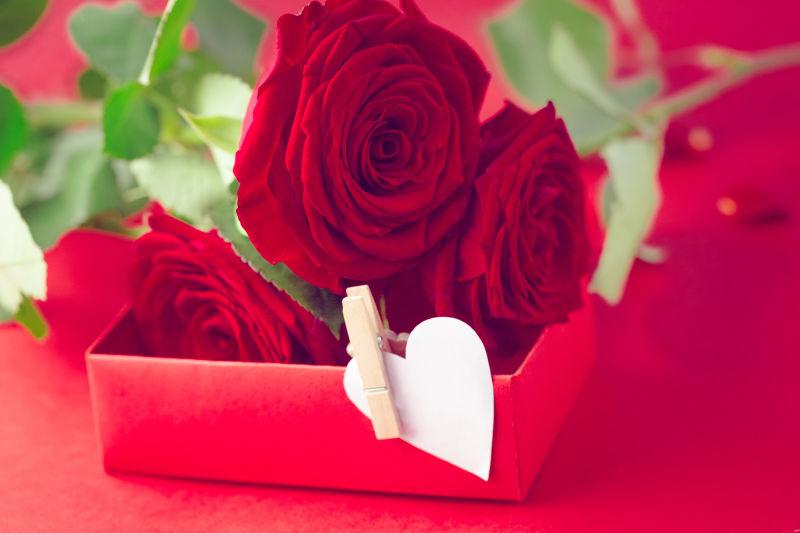 盒子里美丽的红色玫瑰花