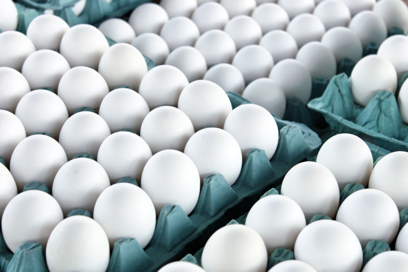 大量的白色鸭蛋