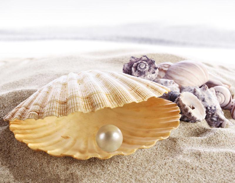 沙滩上海贝壳里明亮的珍珠