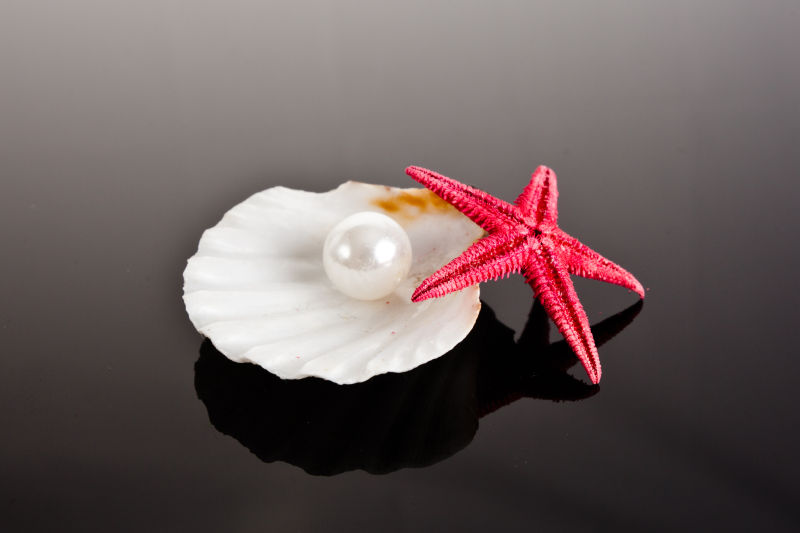 珍珠海星和贝壳