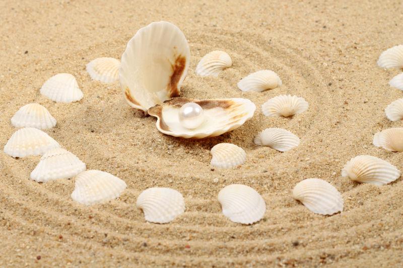 沙滩贝壳里的珍珠