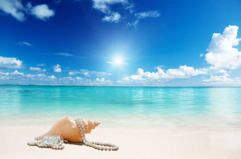 蓝天碧水背景中沙滩上的海螺和珍珠