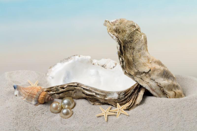在沙滩上放珍珠的开放牡蛎壳旁