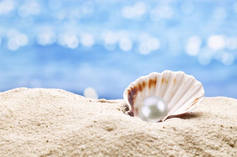 大海背景中在沙子里珍珠牡蛎