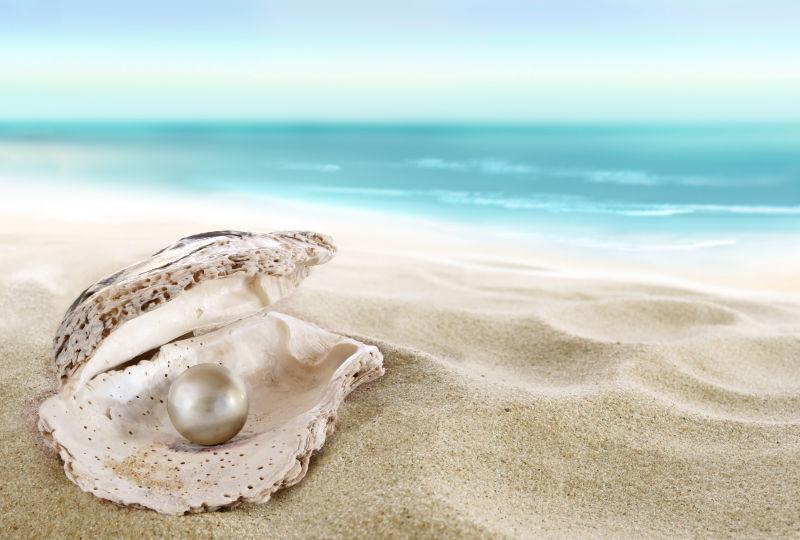 沙滩上打开海贝壳的珍珠