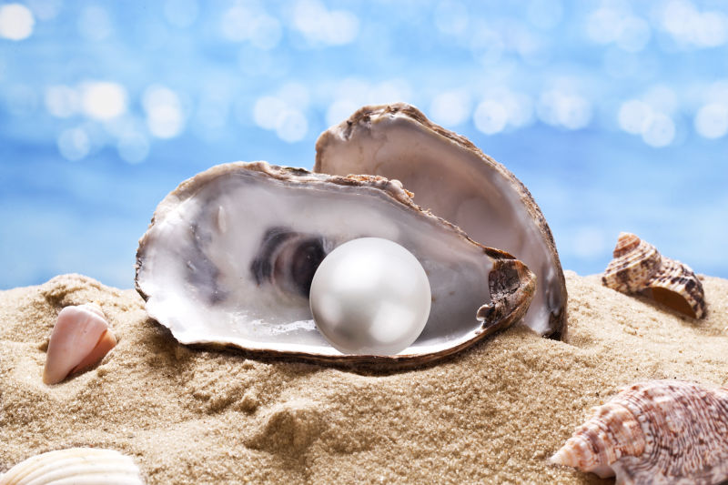 贝壳上有一颗珍珠在海砂上