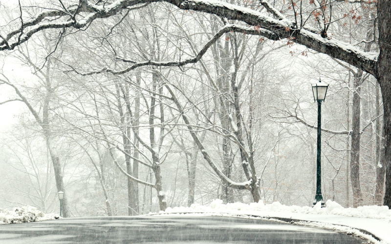 雪后的公路