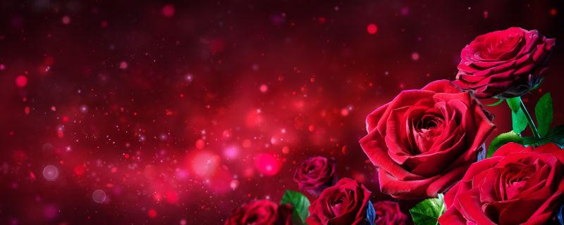 红色情人节玫瑰花背景