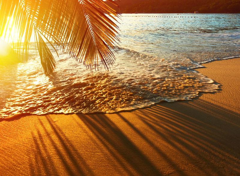 美丽的夕阳下塞舌尔海滩