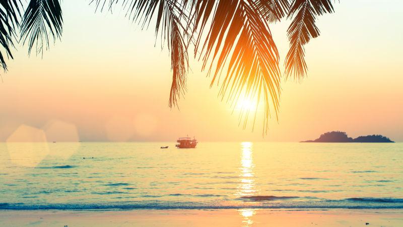 日落下的棕榈海岸