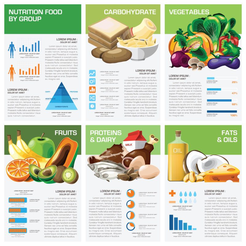 健康与营养食品矢量信息图表设计