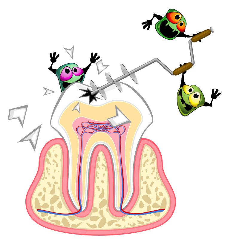 矢量细菌正在迫害牙齿卡通插图
