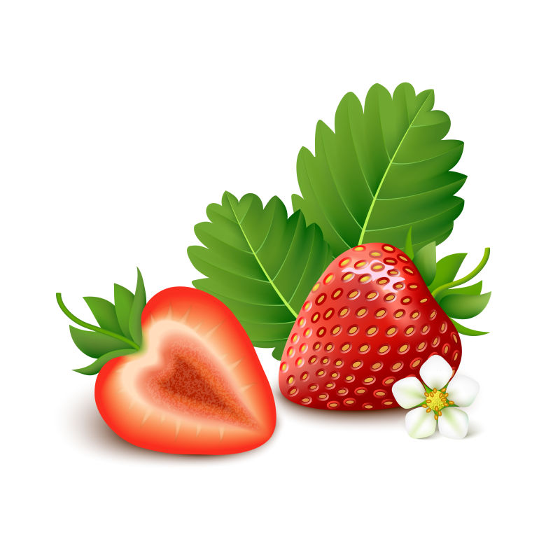 矢量新鲜草莓的插图
