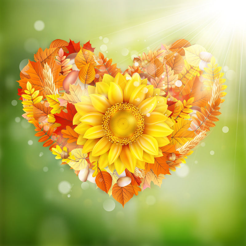 创意矢量秋叶和花朵组成的心形背景