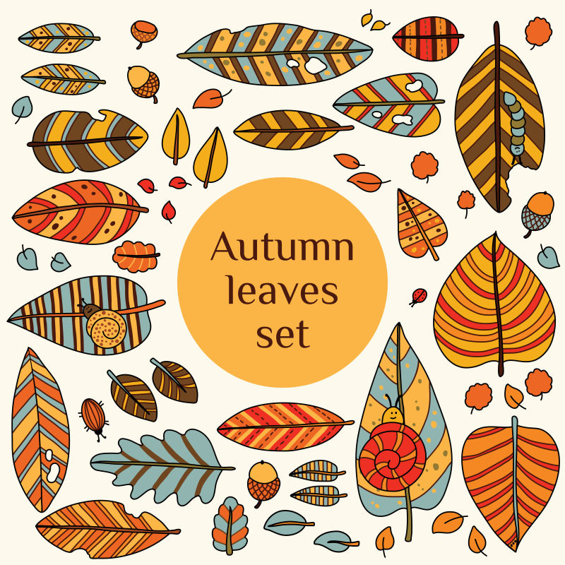 创意矢量彩色秋季装饰设计元素