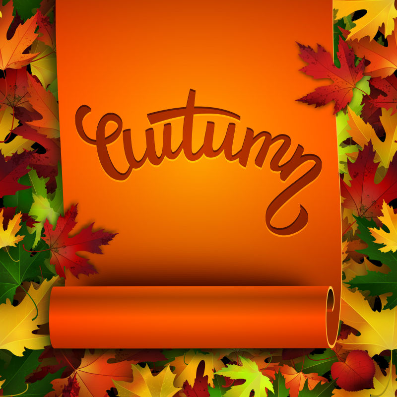 矢量五彩秋叶背景上的秋季主题背景