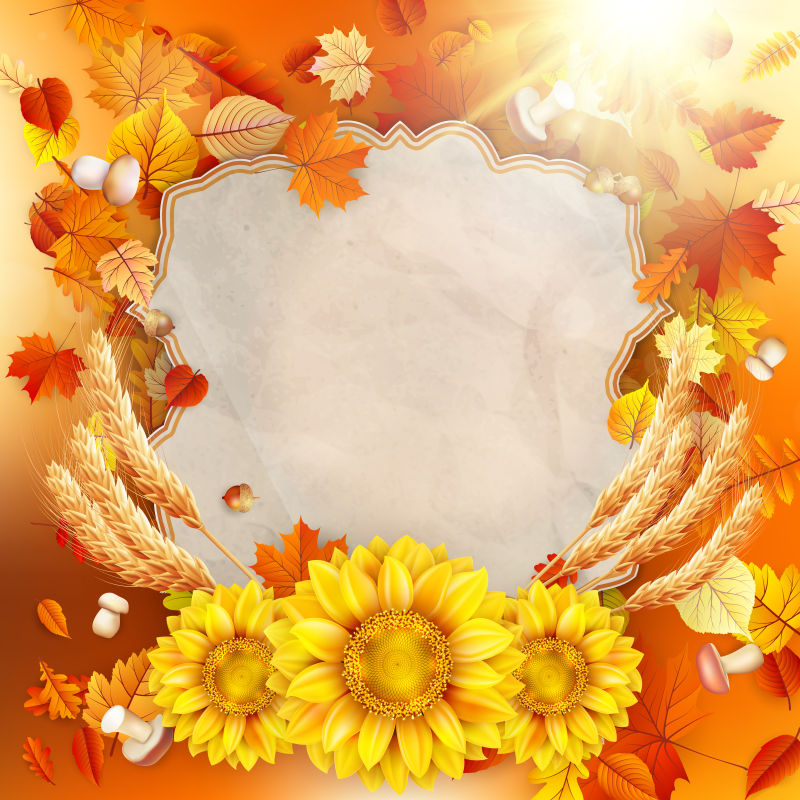 创意矢量秋叶和向日葵背景