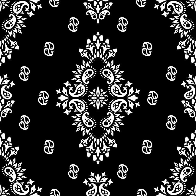 矢量的印度风格黑白花卉图案背景