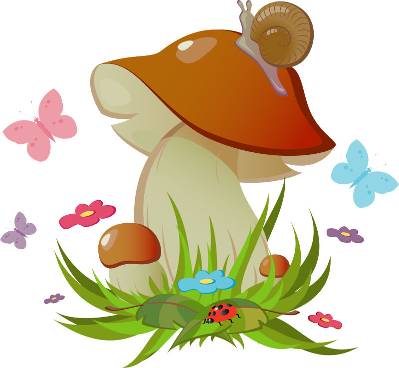 卡通的蘑菇和蜗牛矢量插图