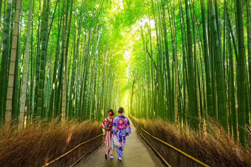 穿着日本传统服饰的两个女人走在竹林小道上